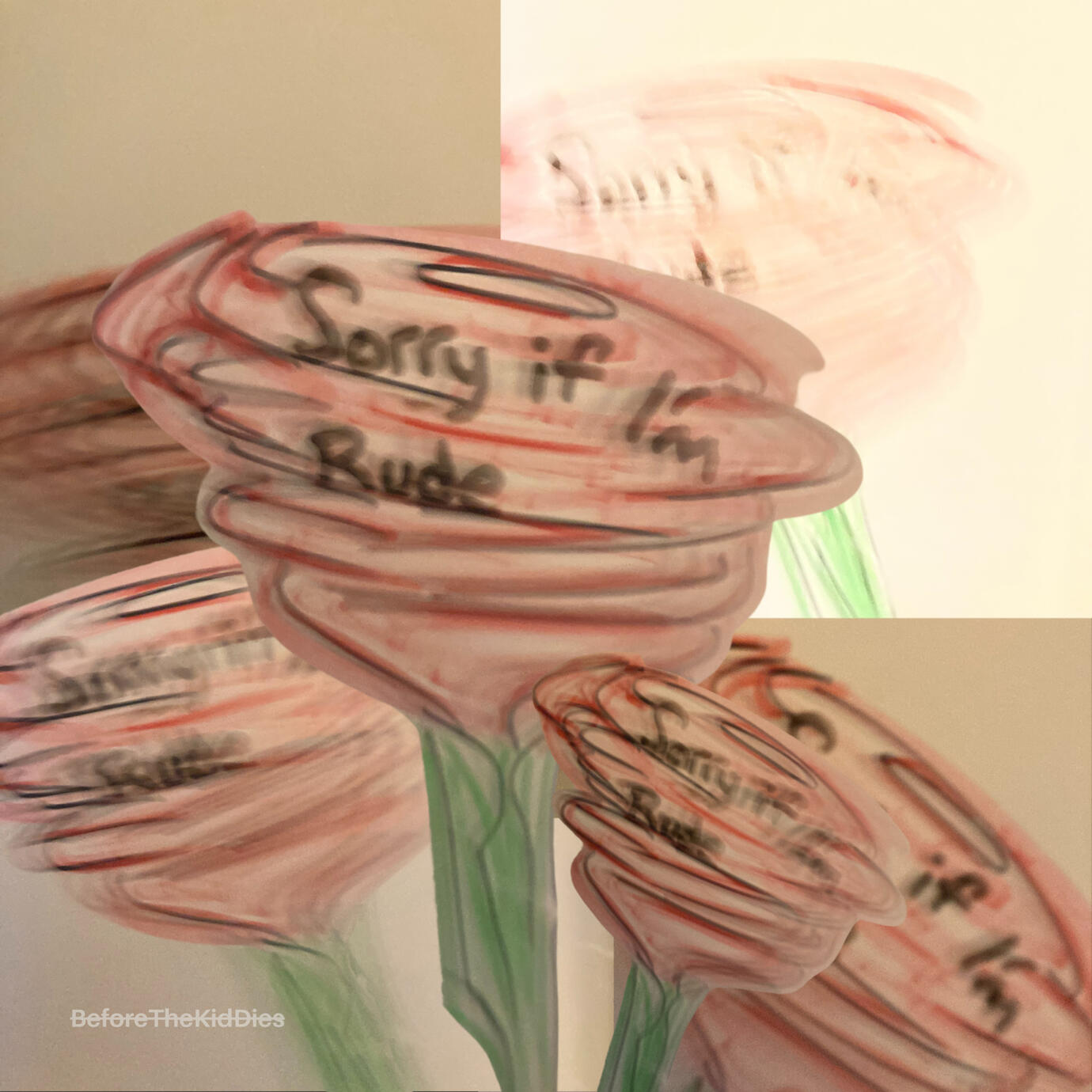 Sorry If I&#39;m Rude